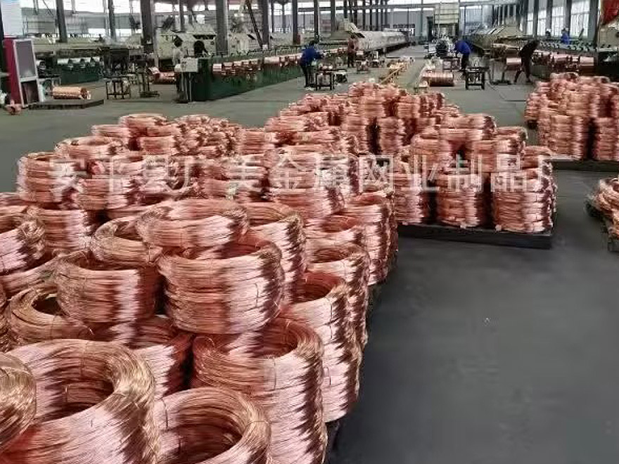 Galvanized & Copper-plated Wire Workshop